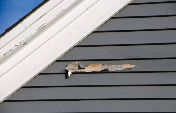 Best Fiber Cement Siding Installation  in Dousman, WI